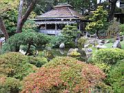 San Fran Vacation 107